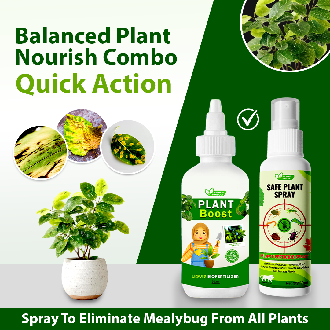 3 Organic Plant Boost & Get 2 Safe Plant Pesticide Spray for FREE ( Pack Of 5 )